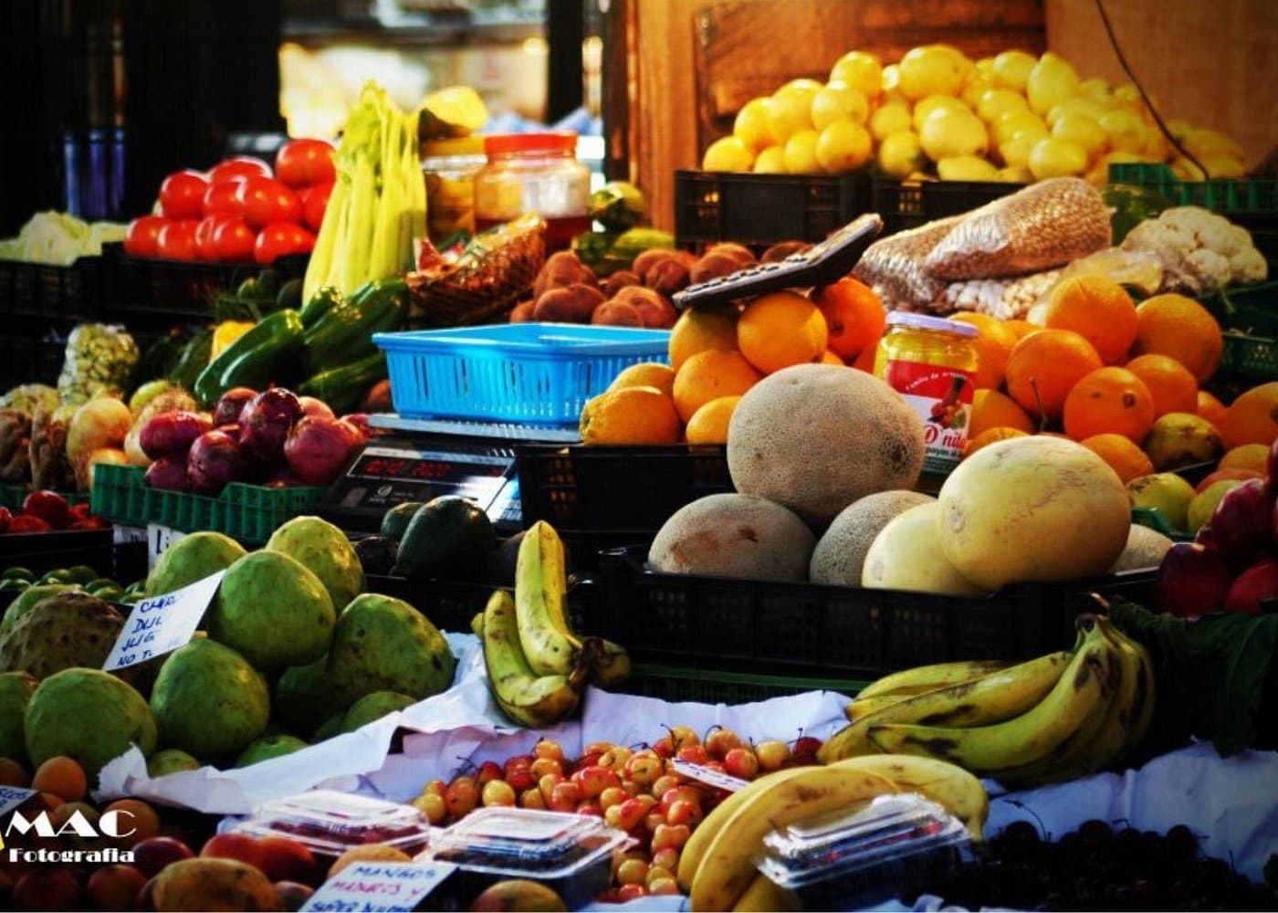 Discover Santiago Half Day Guided Tour Included Local Snack - Dominican Republic