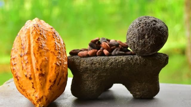 Jaco Beach: 2-Hour Chocolate Experience Tour - Photo 4 (Gallery view)