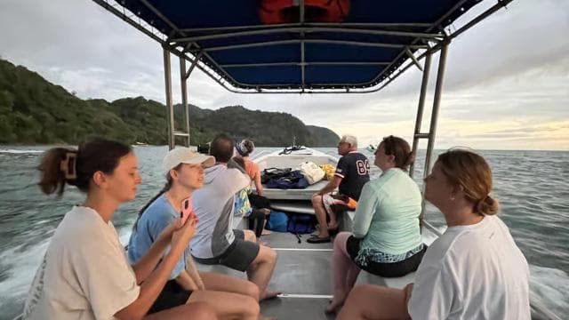 From Playa Pochote: Tortuga Island Private Tour