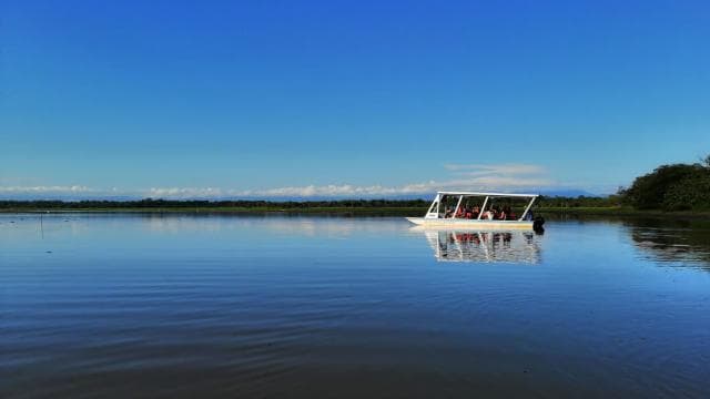 Caño Negro: Wildlife Discovery Tour - Photo 4 (Gallery view)