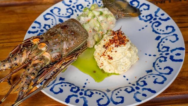 Santa Teresa: Snorkeling Boat Tour with Gourmet Lunch - Photo 4 (Gallery view)