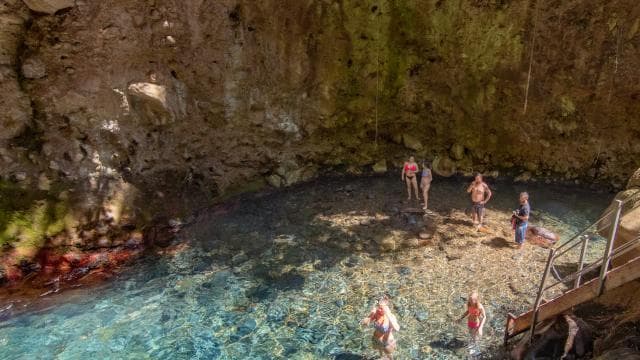 Tour a Caballo a la Cascada de Oropéndola - Photo 4 (Gallery view)