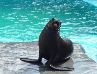 Puerto Plata Ocean World Tickets