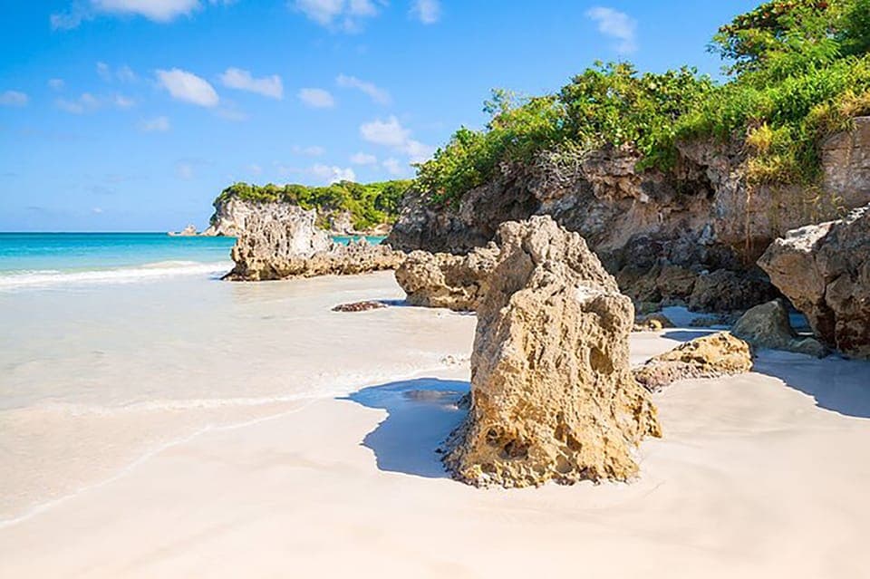 Punta Cana: Safari Outdoor Adventure with Hotel Pickup - Photo 4 (Gallery view)