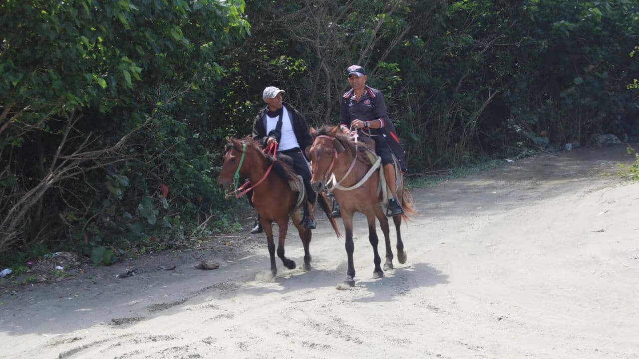 Beach horse back riding and countryside
