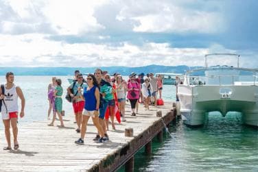 Bayahibe to Samaná Whale Watching | Private Catamaran Tour