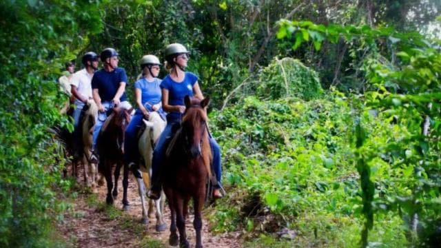 Scenic Horseback Riding Experience