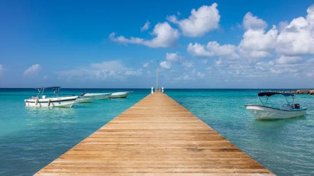 From Punta Cana: Saona Island Cruise with Private Beach