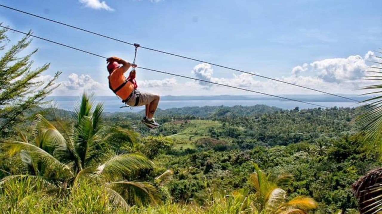 Las Terrenas : Adrenaline Zipline Adventure Tour in Samana - Photo 2 (Gallery view)