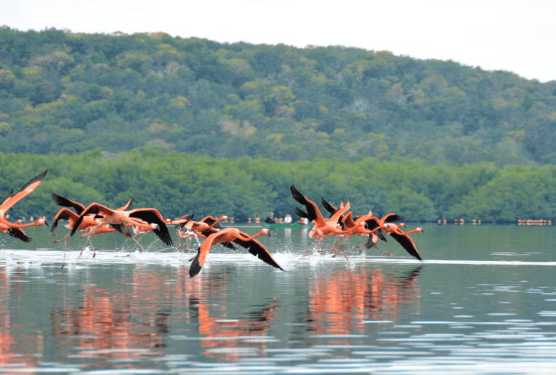 Guanaroca Lagoon Boat Tour