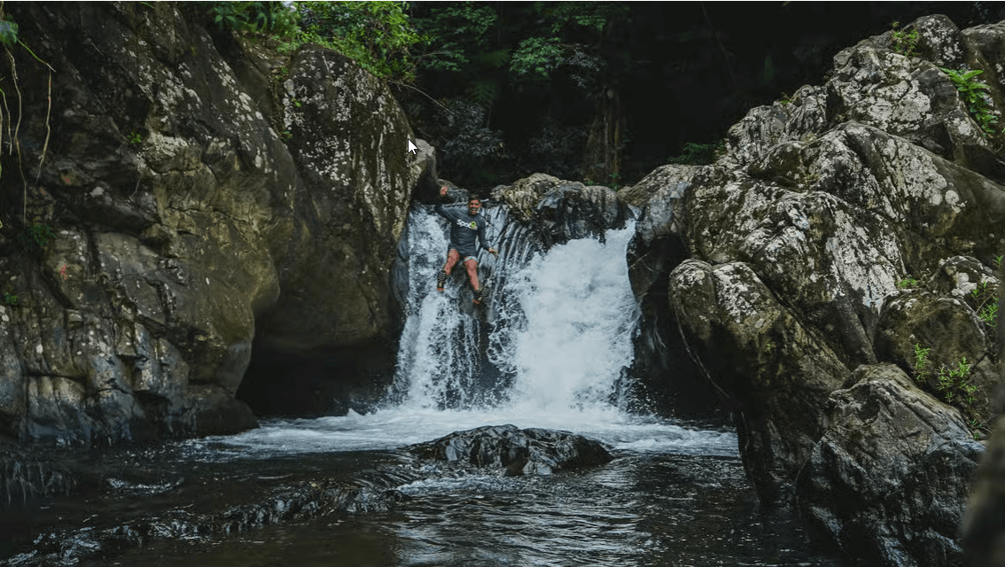San Juan'dan: El Yunque Yağmur Ormanı ve Su Kaydırağı Turu - Photo 2 (Gallery view)
