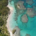 Saona Island: Beaches and Natural Pool Cruise with Lunch