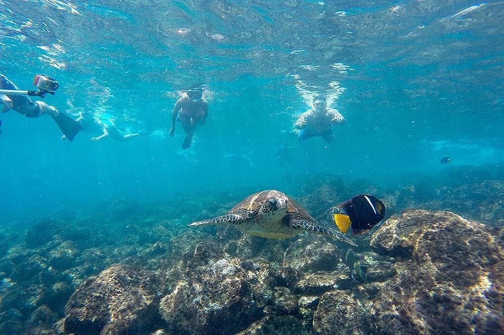 Full Day Tour Pinzon Island + La Fe/Las Palmas - Snorkeling & Fishing - Photo 3 (Gallery view)