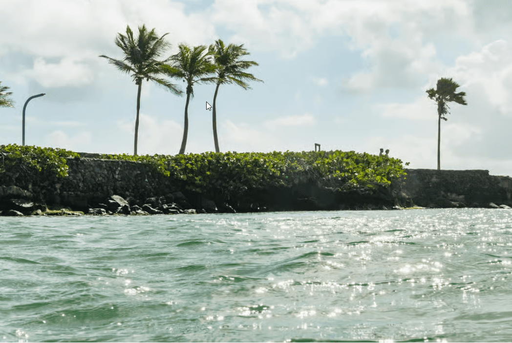 San Juan: Beginner Snorkeling Tour with Turtles and Videos - Photo 5 (Gallery view)