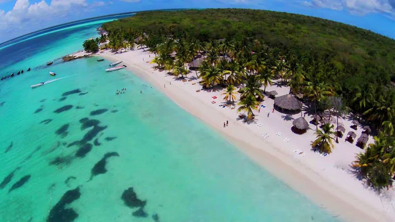 Saona Island: Incredible day With buffet from Punta Cana - Dominican Republic