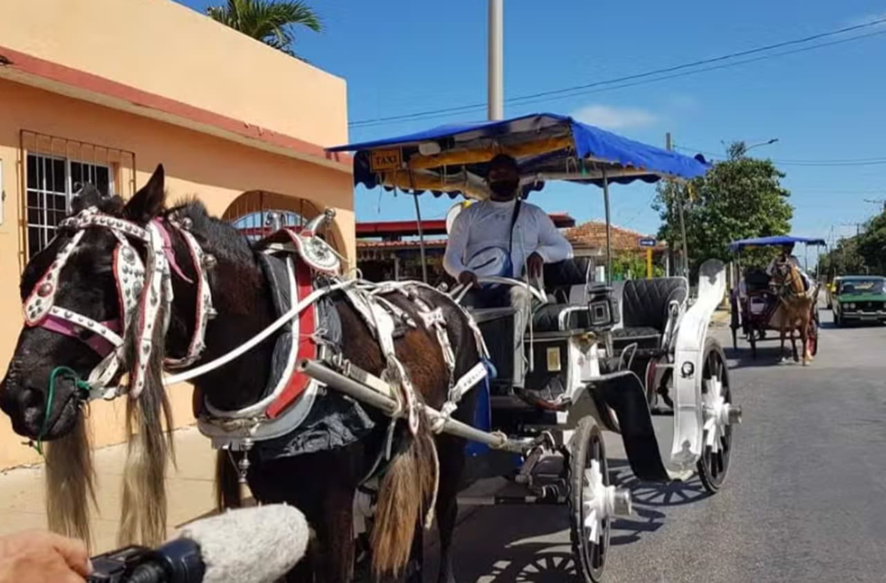 Varadero Guided Tour + Horse-Drawn Carriage Ride - Dominican Republic