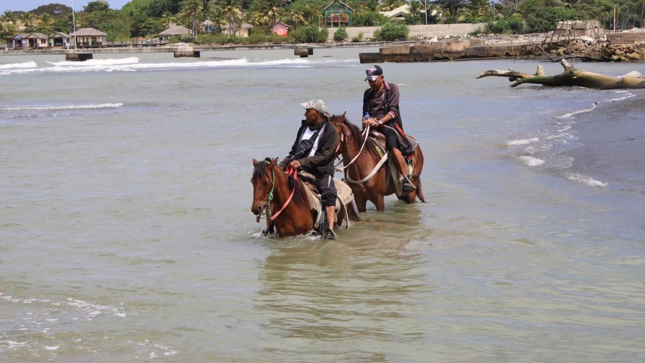 Beach horse back riding and countryside