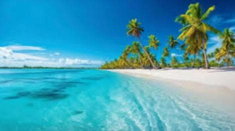 Punta Cana: Catalina Island and Snorkel For Small Group