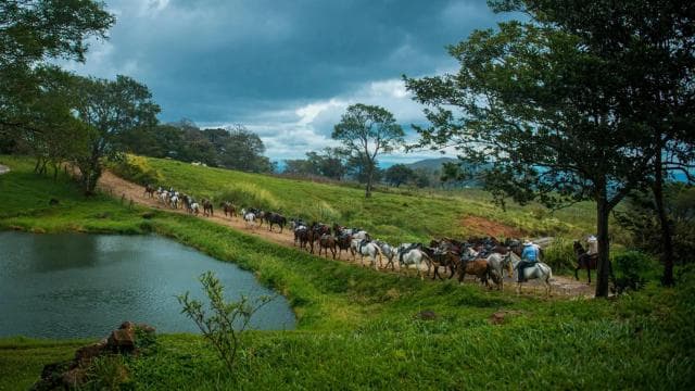 Liberia: Rainforest and Waterfalls Horseriding Tour - Dominican Republic