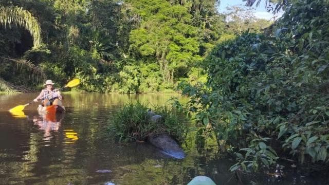 Parque Nacional Tortuguero: Tour en kayak con guía - Photo 2 (Gallery view)