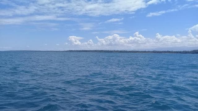Parcul National Cahuita: Snorkel - Photo 3 (Gallery view)