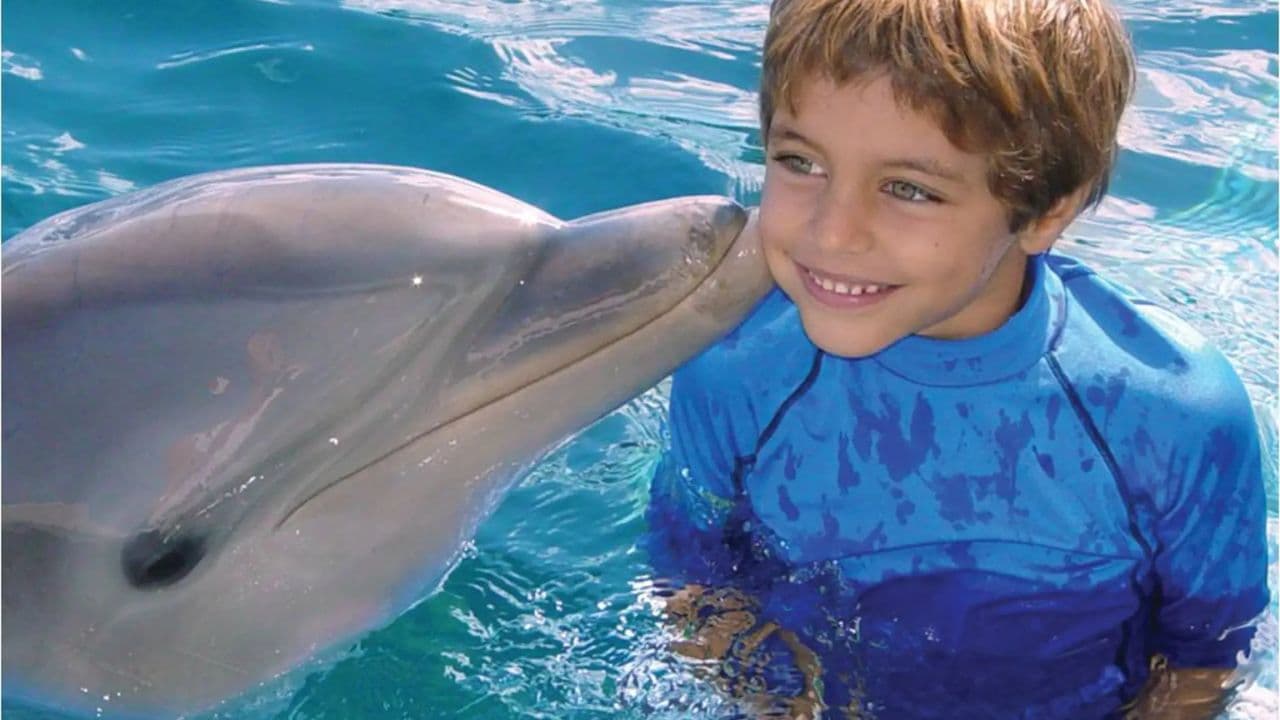 Встреча с дельфинами в Ocean World, Пуэрто-Плата - Photo 5 (Gallery view)