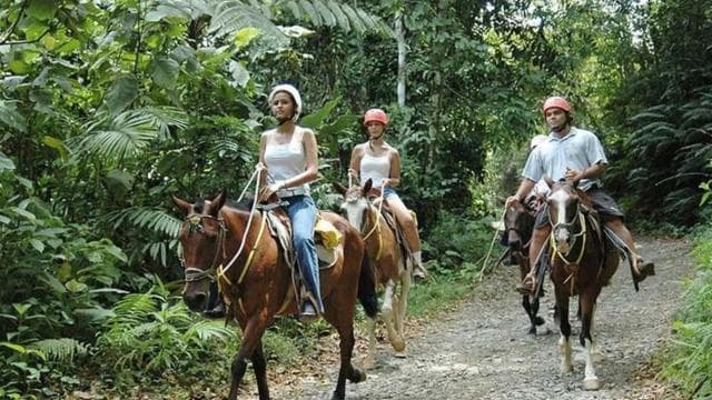 From Manuel Antonio: Horseback Riding with Lunch or Dinner