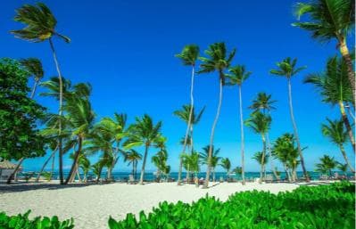 Private: Isla Saona VIP Escape Luxury Beach & Speedboat Tour - Photo 5 (Gallery view)