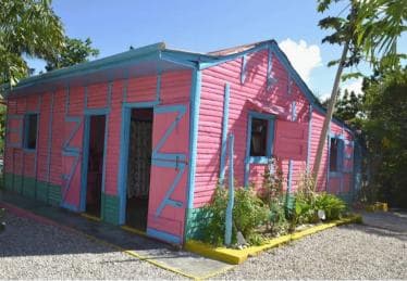 Bayahibe: Monkeyland and Country House Tour with Pickup