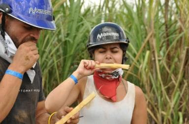 Abenteuer Bayahibe: Kinderwagen, Höhle, Kultur in einem halben Tag - Photo 5 (Gallery view)