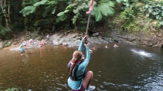 El Yunque Rainforest: Waterfalls, Waterslides and Rope-swing - Dominican Republic