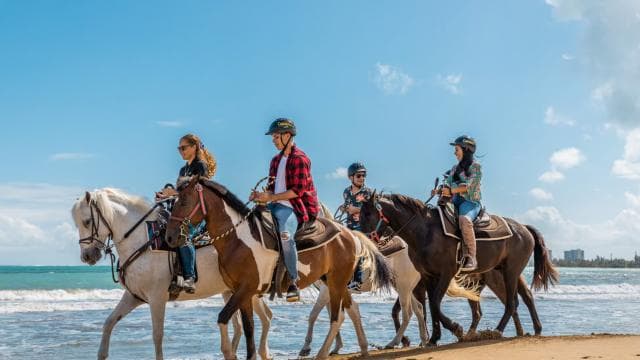 Carabalí-Regenwaldpark: Reiten am Strand - Dominican Republic