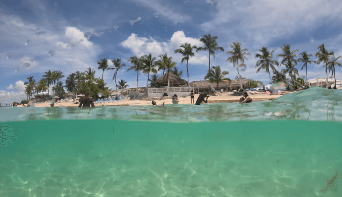 Catalina Island All Inclusive: Schnorcheln, tropischer Strand und Mittagsbuffet - Photo 2 (Gallery view)