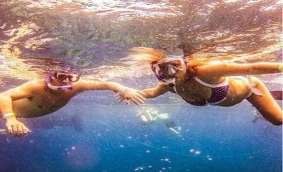 Private: Catalina Island Diving Tour with Lunch