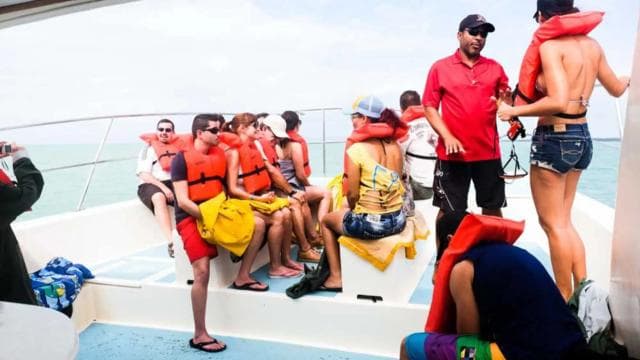 Whale Watching from Miches Port: Cayo Levantado Tour