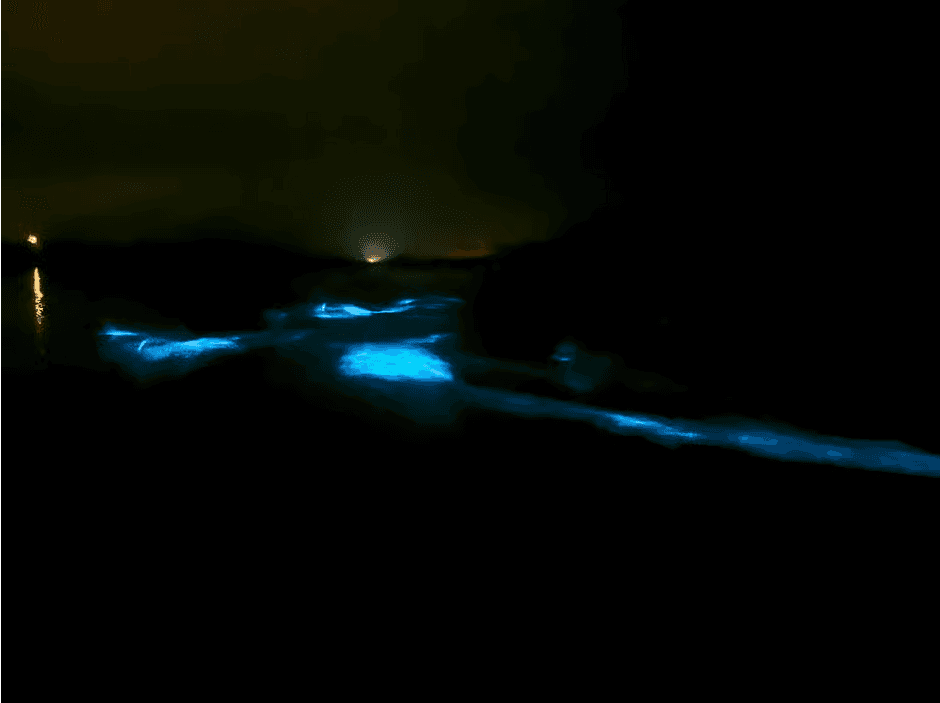 Transparentes Kanu in der Biolumineszenzbucht in Vieques - Photo 5 (Gallery view)