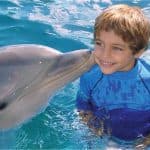 Encuentro con delfines en Ocean World, Puerto Plata - Photo 2 (Gallery view)