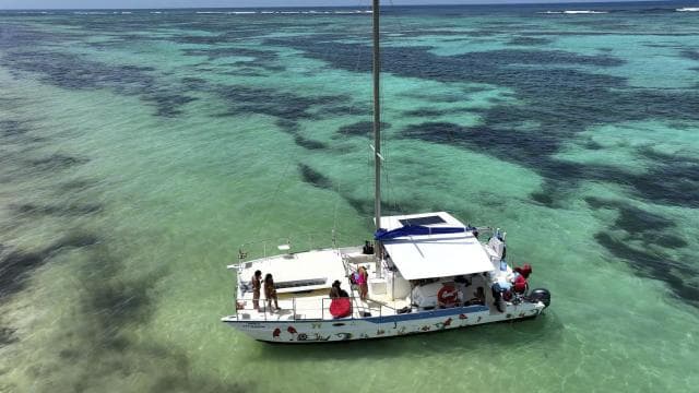 Luxury on the Water: Exclusive Catamaran Tours in Punta Cana - Photo 3 (Gallery view)