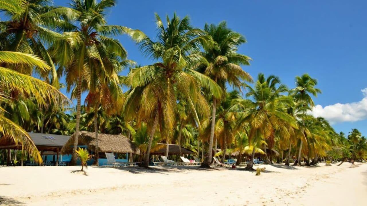 All-Inclusive-Tagesausflug zur Insel Saona ab Punta Cana - Photo 5 (Gallery view)