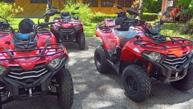 From Tambor: ATV and Zipline Tour with Waterfall Swim
