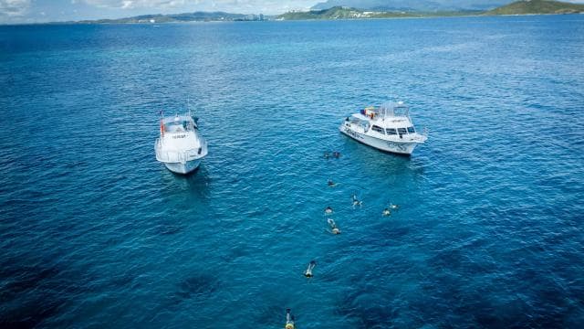All Inclusive Snorkel and Slide Boat Tour: Icacos or Vieques