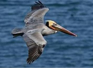 Private: Guided Hike and Kayak Adventure from Boca Chica