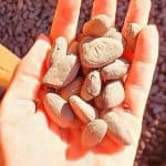 Din Puerto Plata Priv: cacao, cafea, trabucuri și piață locală - Photo 4 (Gallery view)