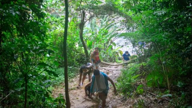 Vivid Day Tour in El Yunque Rain Forest with Transportation