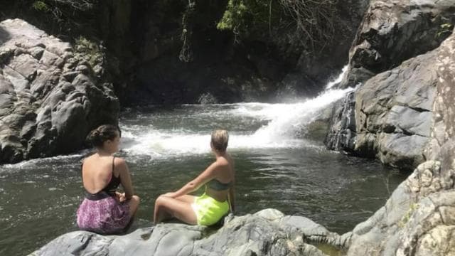 Puerto Rico: El Yunque Rainforest Guided Tour with Transfers