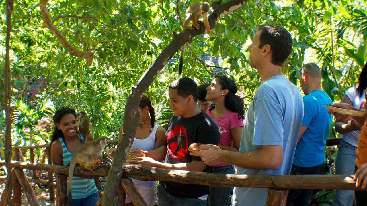 Puerto Plata: Monkeyland and Zip-Line Adventure - Photo 2 (Gallery view)