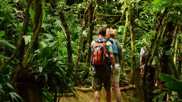 La Fortuna Waterfall Hike & Farm Lunch