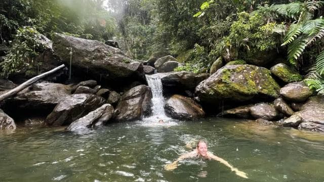 El Yunque: escursione alle cascate nascoste fuori dal percorso con trasporto - Photo 5 (Gallery view)