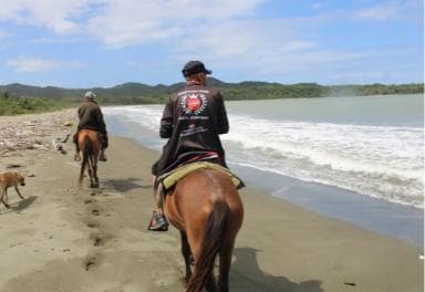 Équitation sur la plage et dans la campagne - Photo 5 (Gallery view)