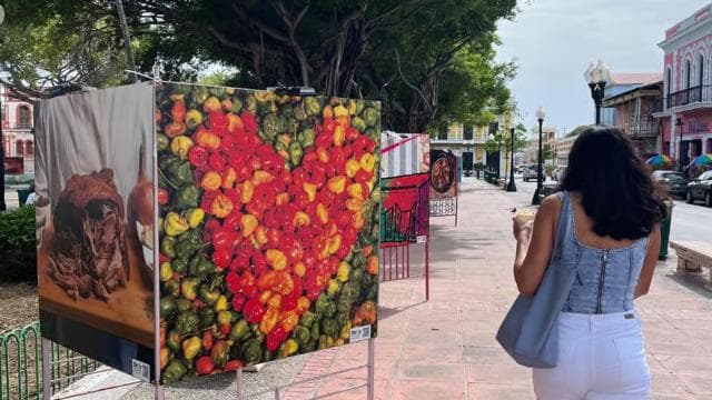 Puerto Rico: One day road trip around the island private